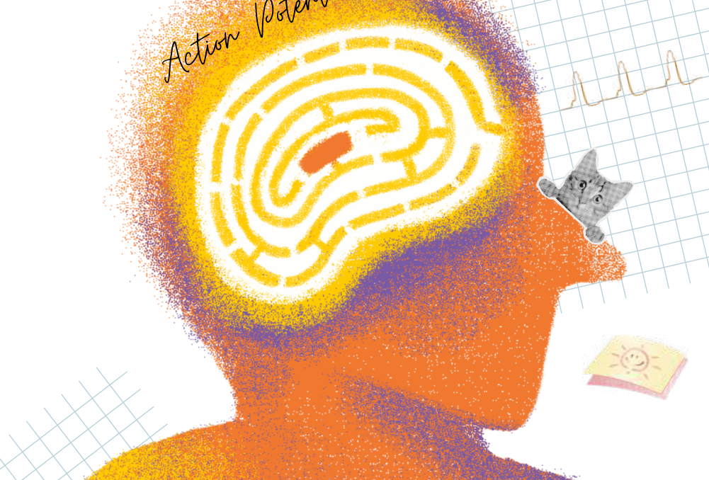 A stylized head profile with a glowing maze inside, neural waveform graphs, and a small cat photo — illustrating the search for learning mechanisms.