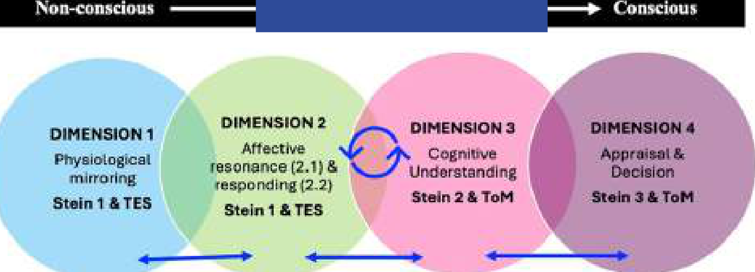 Four stages of empathy as a perceptual process: physiological mirroring, affective resonance and response, cognitive understanding, and evaluation and decision-making.