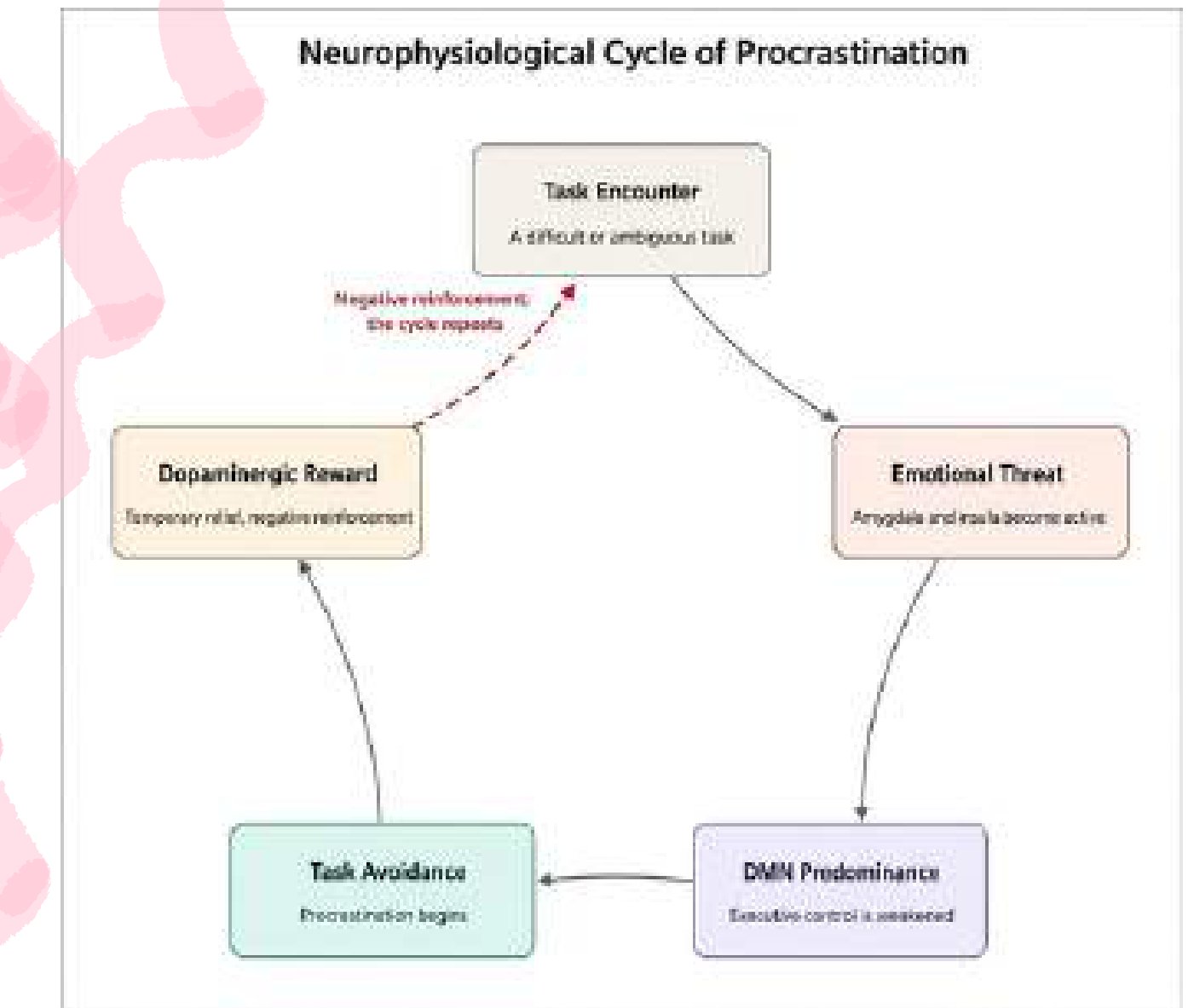 Self-reinforcing cycle of procrastination showing amygdala/insula threat, default mode network dominance, reduced prefrontal control, and negative reinforcement from relief.