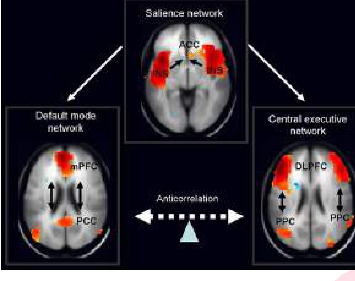 Diagram of dynamic interactions among default mode network, salience network, and executive control network underlying the shift from internal processing to goal-directed behavior.